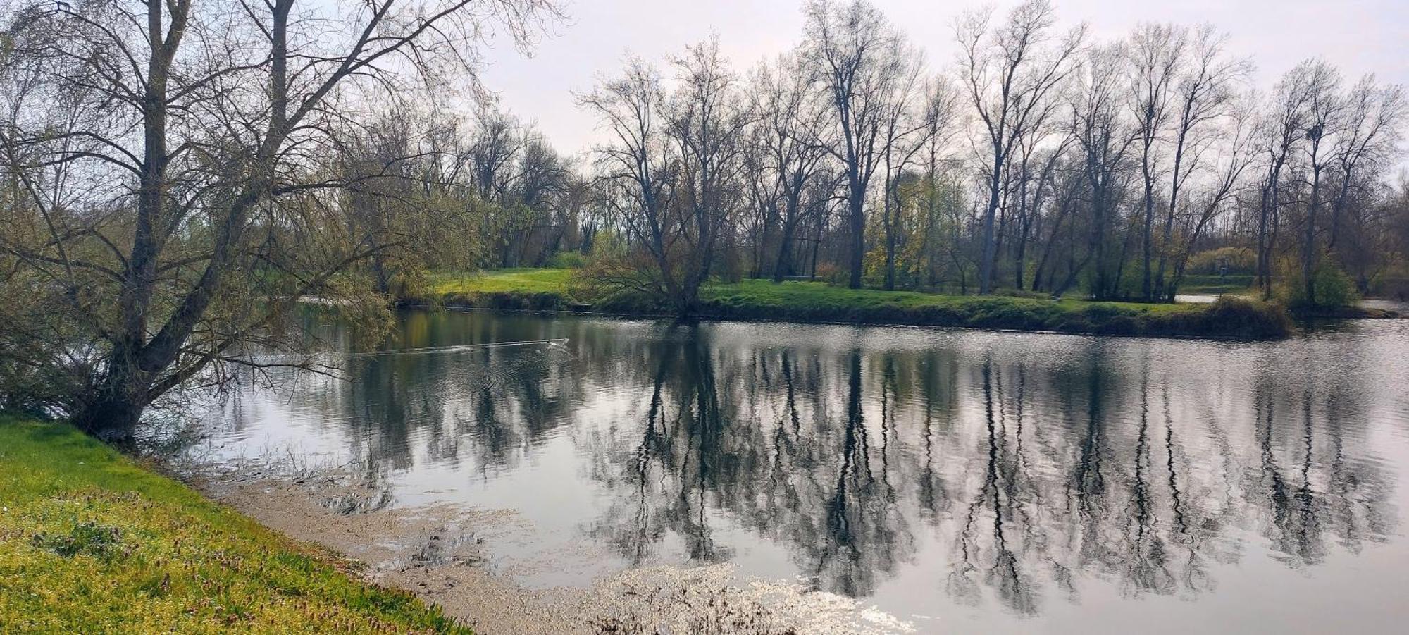 Studio Sur Les Rives D'Allier ムーラン エクステリア 写真
